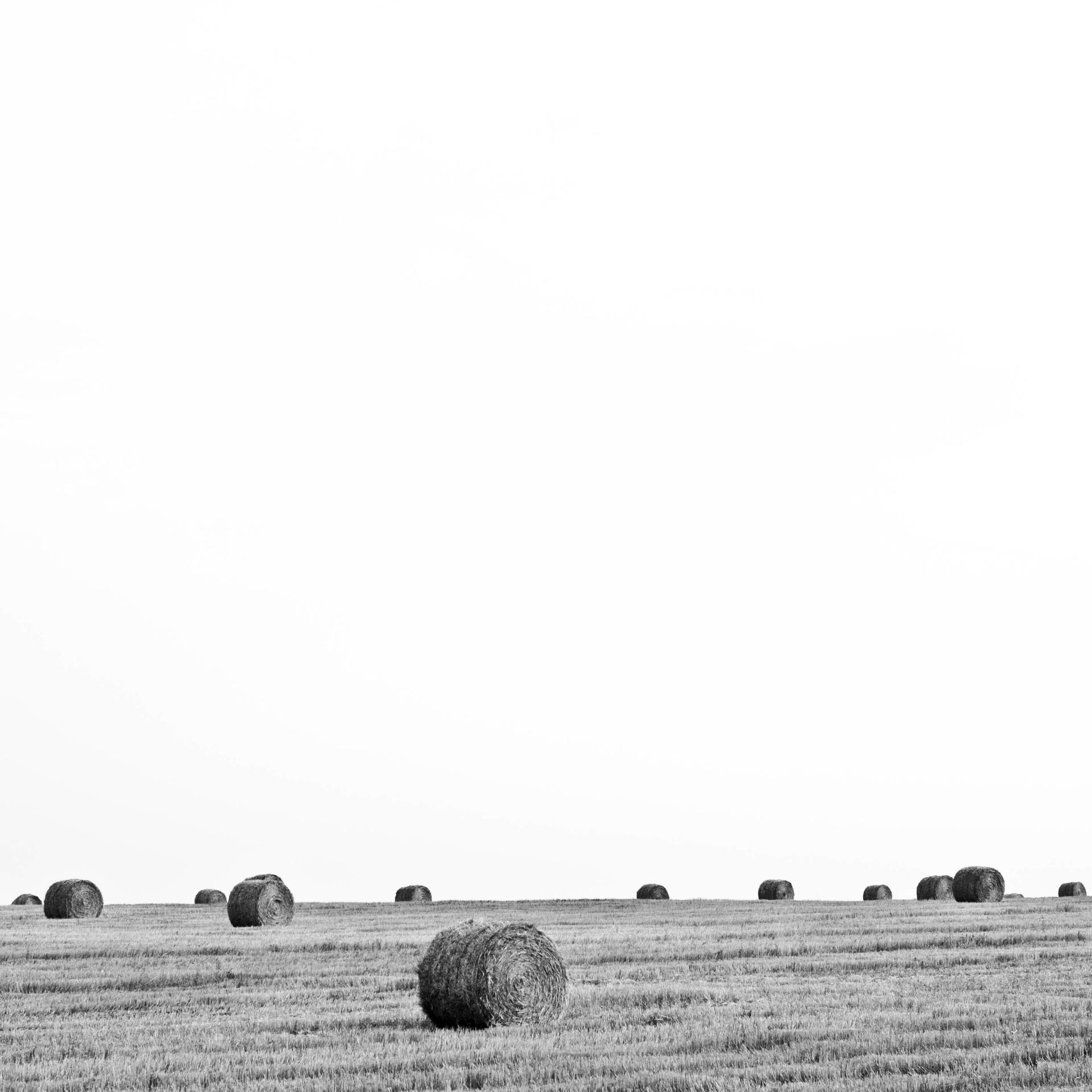 Communities